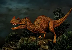 Ceratosaurus: Ceratosaurus was a large predatory dinosaur from the Late ?