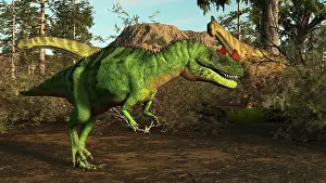 Prowling: Ceratosaurus nasicornis predator on the prowl