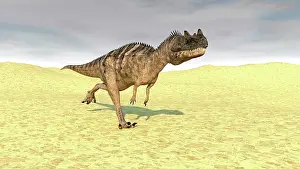 Allosauroid: Ceratosaurus running across a barren desert