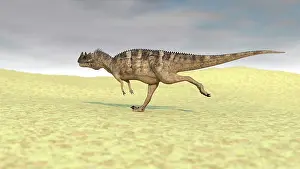 Ceratosaurus: Ceratosaurus running across a barren desert