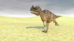 Ceratosaurus: Ceratosaurus running across a barren desert