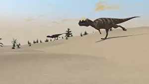 Vulnerability: Ceratosaurus running across a barren landscape