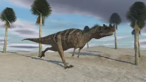 Ceratosaurus: Ceratosaurus running across a barren landscape