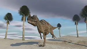 Ceratosaurus: Ceratosaurus running across a barren landscape