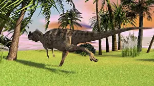 Ceratosaurus: Ceratosaurus running across a field