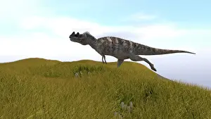 Ceratosaurus: Ceratosaurus running across a grassy field