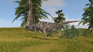 Ceratosaurus: Ceratosaurus running across a grassy field
