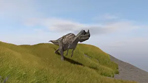 Ceratosaurus: Ceratosaurus running across a grassy field