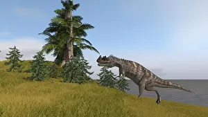 Ceratosaurus: Ceratosaurus running up a hill