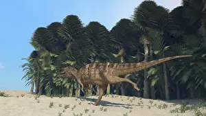 Ceratosaurus: Ceratosaurus running across a prehistoric landscape