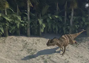 Close Up: Ceratosaurus running across prehistoric landscape