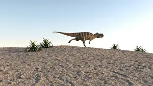 Clear: Ceratosaurus running across sandy terrain