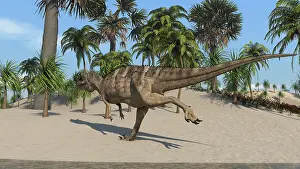 Ceratosaurus: Ceratosaurus running across a tropical landscape