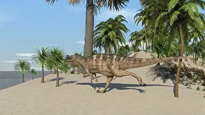 Ceratosaurus: Ceratosaurus running across a tropical landscape