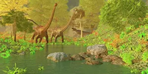 Prowling: A Ceratosaurus tries to sneak up behind two Diplodocus ?