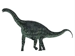 Oxoniensis: Cetiosaurus dinosaur, side profile