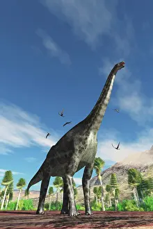 Surrounding: A Cetiosaurus dinosaur is surrounded by Dorygnathus