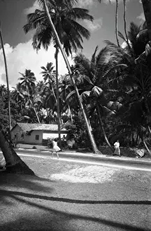 Ceylon: Ceylon