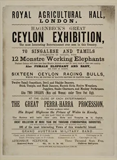 Playbill: Ceylon Exhibition