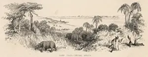 Chad: CHAD/LAKE CHAD 19C