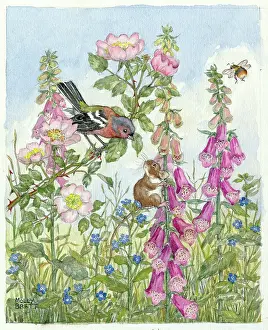Medici Society (molly Brett): Chaffinch field mouse, foxgloves and bee