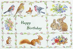 Chaffinch: Chaffinch, thrush, wren, bullfinch, mouse etc