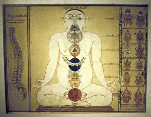 Representing: Six Chakras representing the plexuses of the human