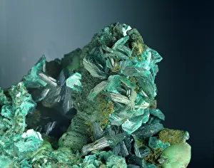 Crystalline: Chalcophyllite
