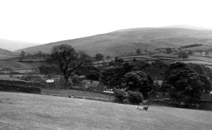 Renwick: Chalford, Renwick Fell c1955