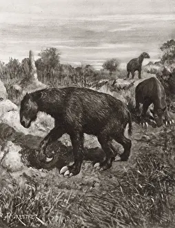 Oct22: Chalicothere - extinct animal
