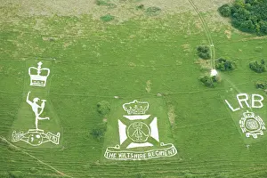 Fovant: Chalk Military Badges