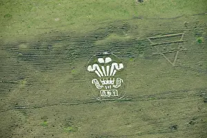 Fovant: Chalk Military Badges