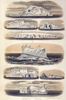 Icebergs: CHALLENGER ICEBERGS