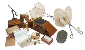 Entomologist: The Chalmers-Hunt Collection