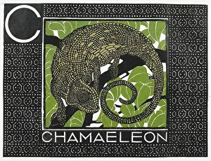 Jung: Chamaeleon. Woodcut in Colour. From: