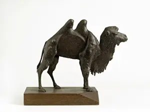 Wrought: CHAMEAU - CAMEL