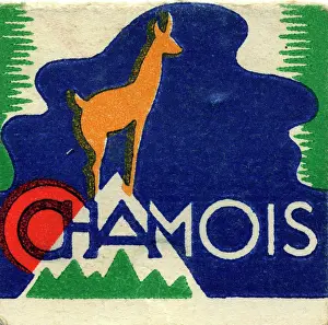 Carton: Chamois Match Box