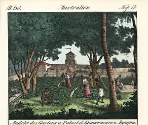 Guam: Chamorro natives working in the gardens of Agagna, Guam