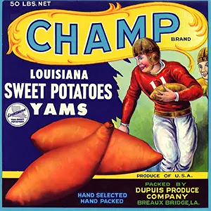 Vegtable: Champ Yams Label