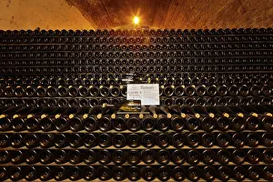 Ageing: Champagne cellars, Maison Ruinart, Reims, Marne, France