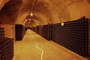 Ageing: Champagne cellars, Maison Ruinart, Reims, Marne, France