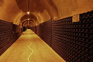 Ageing: Champagne cellars, Maison Ruinart, Reims, Marne, France