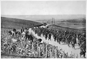 Harvested: In Champagne Country