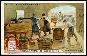 Pressing: CHAMPAGNE LIEBIG 3