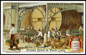 Bottled: CHAMPAGNE LIEBIG 5