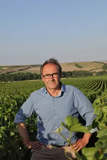 Winemaking: Champagne vineyard owner, Mailly, Bourgogne-Franche-Comte