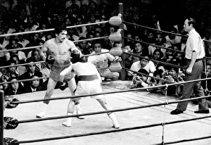 Connect: Champion loses world title