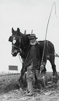 Ploughman: CHAMPION PLOUGHMAN