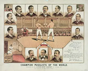 Pugilists: Champion pugilists of the world