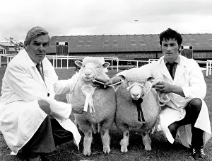 Minder: Two champion sheep at the Royal Cornwall Show